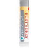 Burt’s Bees Lip Care balzam za suhe ustnice 4.25 g