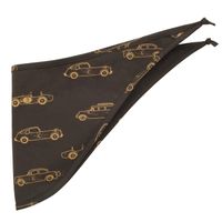 Pinokio Kids's Scarf Old Cars 1-02-2311-15