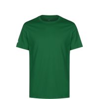 NIKE Tehnička sportska majica 'Park 20'  zelena