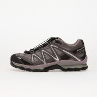 Sneakers Salomon XT-Quest Gtx Gull/ Plum Kitten/ Black EUR 46