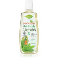 Bione Cosmetics Dentamint Cannabis szájvíz 500 ml