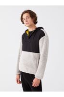 LC Waikiki LCW Men's Casual Long Sleeve Plush Hoodie