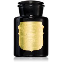 Paddywax Apothecary Noir Palo Santo aроматична свічка 226 гр