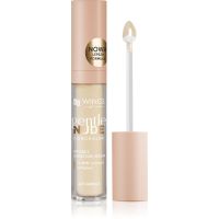 AA Wings of Color Gentle Nude Concealer tekutý korektor odstín 401 Vanilla 6.2 g
