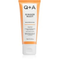 Q+A Ginger Root intensive, hydratisierende Creme 75 ml