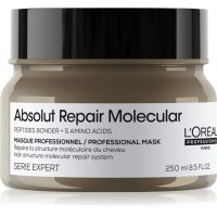 L’Oréal Professionnel Serie Expert Absolut Repair Molecular globinsko krepilna maska za lase 250 ml