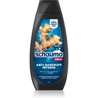 Schwarzkopf Schauma Anti-Dandruff Shampoo gegen Schuppen mit Ingwer für Herren 400 ml