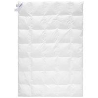 Sleeptex CELOROČNÍ PŘIKRÝVKA, 140/200 cm, prachové peří