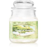 THD Vegetal Muschio Di Montagna lumânare parfumată 100 g