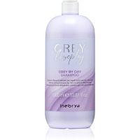Inebrya Greylosophy Grey By Day Shampoo шампунь-тонер для сивого волосся 1000 мл