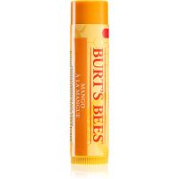 Burt’s Bees Lip Care hranilni balzam za ustnice (with Mango Butter) 4,25 g