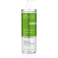Bielenda Professional Acne Free ProExpert jemný čistiaci gél na tvár a očné okolie 500 ml