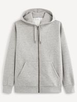 Celio Vethree Sweatshirt Grau