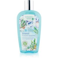 Bohemia Gifts & Cosmetics Bohemia Herbs Dead Sea Salt м'який шампунь 250 мл