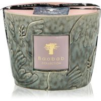 Baobab Collection Paz Colombe aроматична свічка 500 гр