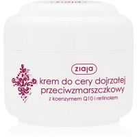 Ziaja Basic Care Antifalten-Tagescreme mit dem Coenzym Q10 50 ml