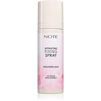 Note Cosmetique Hydrating Fixing Spray спрей-фіксатор макіяжу зі зволожуючим ефектом тип Rose 100 мл