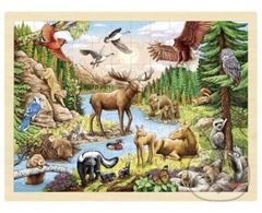 Divoká příroda Severní Ameriky (Dřevěné puzzle) - puzzle z kategorie Maxi dílky