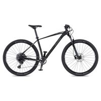 Horské kolo 4EVER Horizzont 29'' 10.0 M (17", 165-175 cm) chameleon/hologram