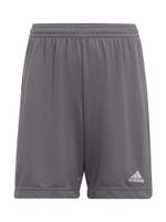 ADIDAS PERFORMANCE Sportske hlače 'Entrada 22'  tamo siva / bijela