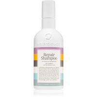 Waterclouds Repair Shampoo mildes Pflegeshampoo 250 ml