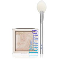 espoir Tone Pairing Highlighter rozjasňovač na tvár a očné okolie so štetcom odtieň Seashell 9.6 g