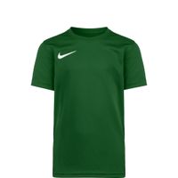 NIKE Tehnička sportska majica 'Park VII'  kraljevski zelena / bijela