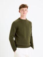 Celio Febasic Pullover Grün