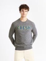 Celio Cenormal Pullover Grau