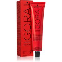 Schwarzkopf Professional IGORA Royal barva za lase odtenek 6-63 Dark Blonde Chocolate Matt 60 ml