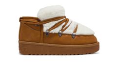 D.Franklin Nordic Trk Fur Low Žene - Cipele D.Franklin - Smeđa - DFSH370011-TAN-7.5 - Size: 7.5