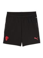 PUMA Sportske hlače  crvena / crna