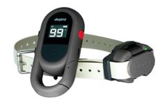 Dogtra IQ Flex | Elektronikus kiképző nyakörv - szürke