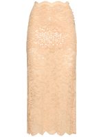 Sequined Dentelle Brodé Skirt