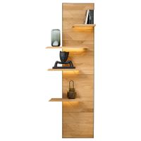 Linea Natura NÁSTENNÝ PANEL, čierna, divoký dub