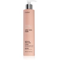 Erayba Color Care maska za lase za zaščito barve 250 ml