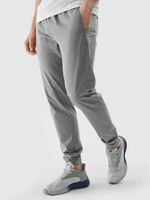 4F Hose Grau