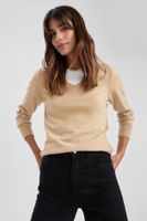 DEFACTO Regular Fit V Neck Basic Plain Knitted Sweater