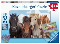 Fotky koní - puzzle z kategorie 15 - 60 dílků