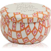 Paddywax Tulip Cactus Flower vonná sviečka s viečkom 56 g