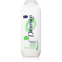 Dimension by Lux 2in1 Shampoo und Conditioner 2 in 1 für fettiges Haar 250 ml