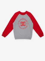 DC Star Pilot Sweatshirt Kinder Grau