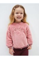 LC Waikiki Lcw Crew Neck Long Sleeve Plush Baby Girl Sweatshirt with Embroidery Detail