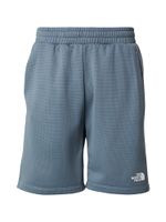 THE NORTH FACE Sportske hlače 'REAXION 2.0'  siva / bijela