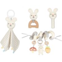 eliNeli Gift Set 4 in 1 подарунковий набір для малюків до року Bunny 1 кс