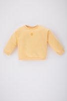 DEFACTO Baby Girl Crew Neck Thick Sweatshirt