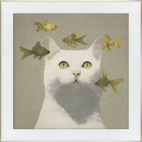Obraz Cat And Goldfish 70X70