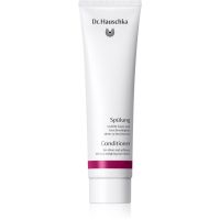 Dr. Hauschka Hair Care Conditioner zartes Conditioner für glänzendes und geschmeidiges Haar 150 ml