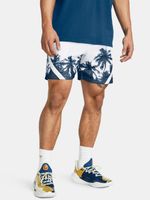 Under Armour Curry Mesh 3 Shorts Blau