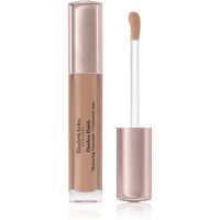 Elizabeth Arden Flawless Finish Skincaring Concealer dlouhotrvající korektor odstín 445 5,9 ml